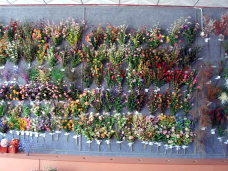 Artificial flowers and plants
