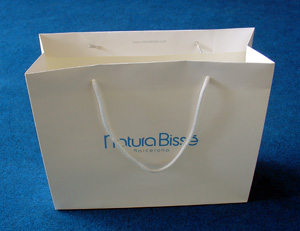 paper shopping bag,paper bag,gift bag,carrier bag