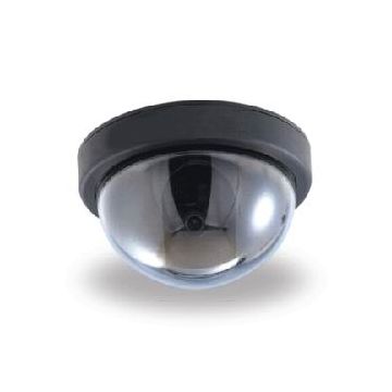 Dome CCD camera