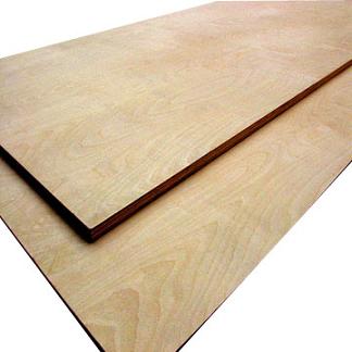 birch plywood