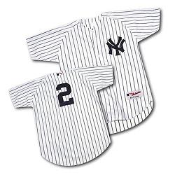 MLB Terms Color Jersey