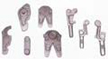 Roughs for forged pieces