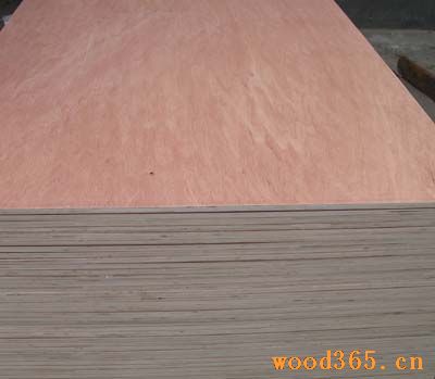 bintagor plywood