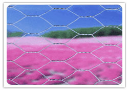 chain link fence