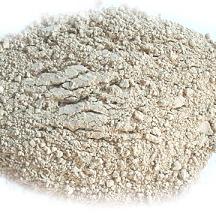 Dehydrated Ginger powder