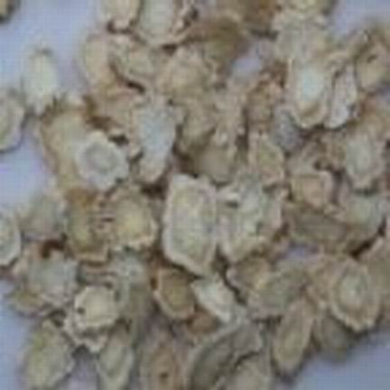 Platycodon root