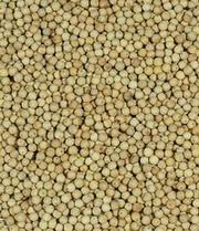 White pepper powder