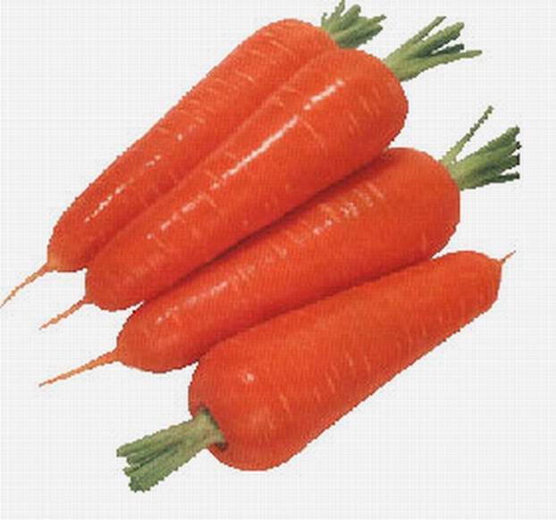 Carrot Extract