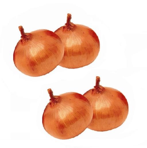 Fresh onion