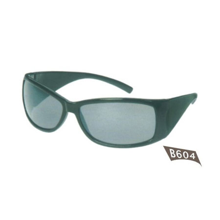 Plastic Sunglasses