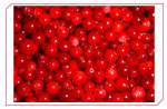 lingonberry