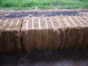 COCONUT FIBER/COIR FIBRE