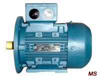 MS Series Three-Phase ac Motor With Aluminium hous