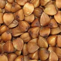 Buckwheat