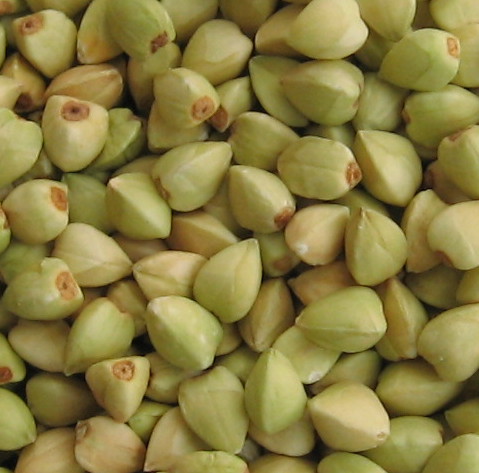 Buckwehat Kernel