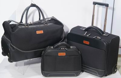 luggage, suitcase
