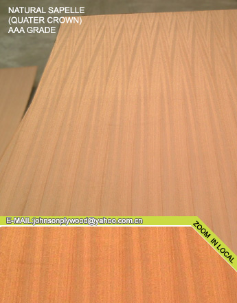 Sapele plywood