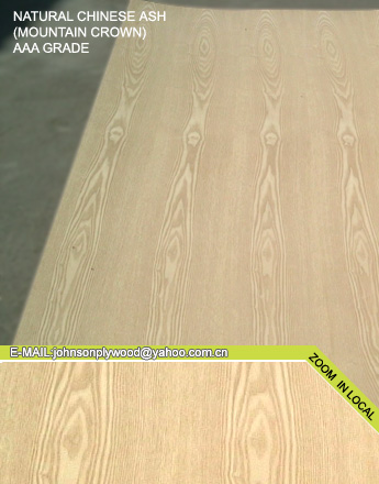 Ash veneered plywood