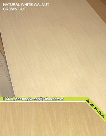 walnut fancy plywood
