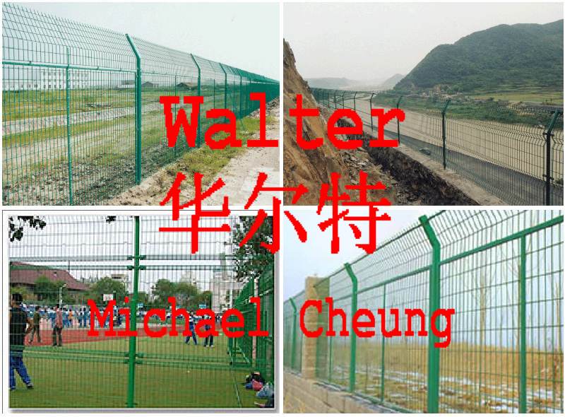 Wire Mesh Fencing