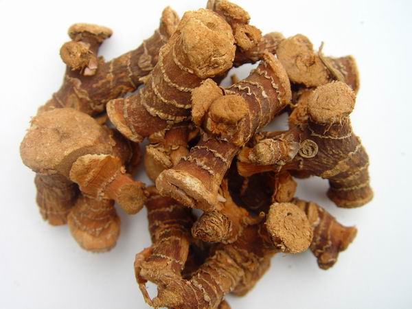galangal