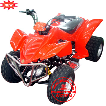 ATV (Quad Bike)
