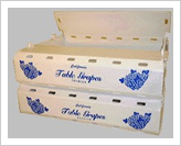 fresh packaging box