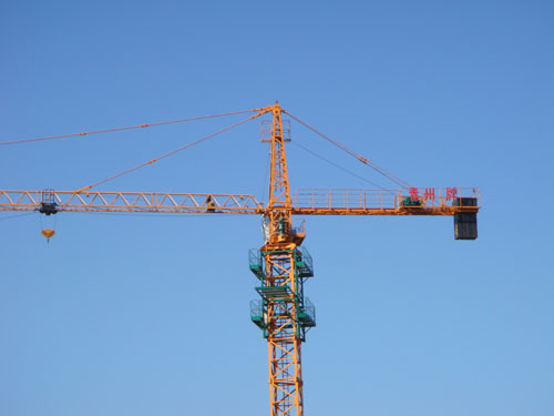 crane