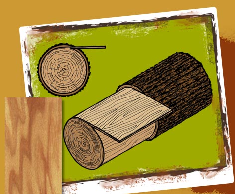 fancy plywood