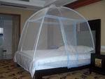 mosquito net-mongolia