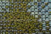 crimped wire mesh