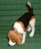 Pet products, Holiday Decorations, Decorative Wal