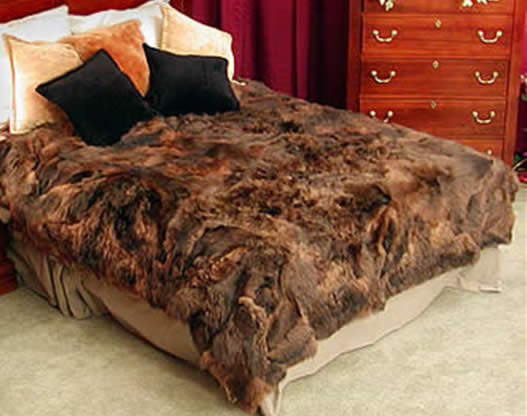 Alpaca Pillows