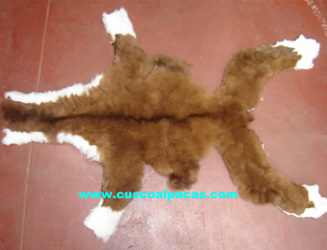 Alpaca Furs