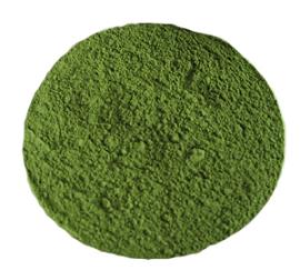Dehydrated Spinach powder