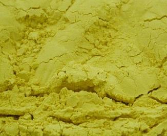 Pumpkin powder