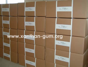 FXGG Xanthan Gum Food Grade