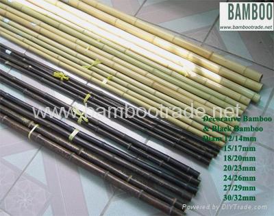 Black bamboo poles