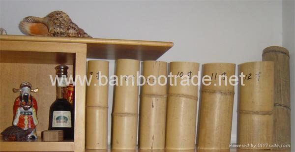 MOSO bamboo poles