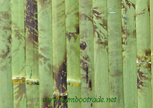 2.5cm green tortoise bamboo wallpaper