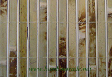 11mm tortoise strips+2.5mm natural roud strips