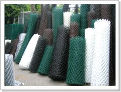 hexagonal wire mesh