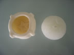 Brush silicone rubber(RTV-2) :