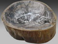 Fossil-wood-sink