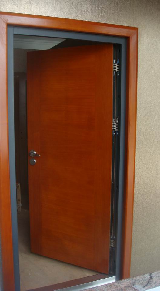 Security(Armored) Doors