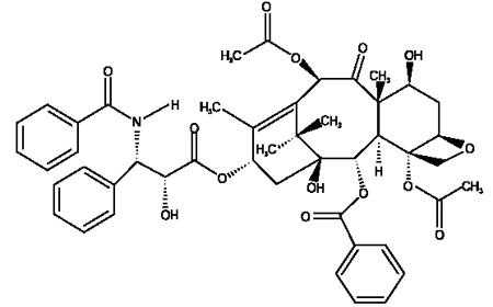 Paclitaxel,33069-62-4,paypal accpet.