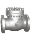 Check Valves (WZIPIE)