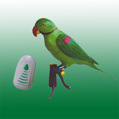 Wireless parrot record doorbell