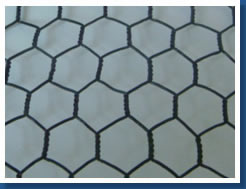hexagonal wire mesh