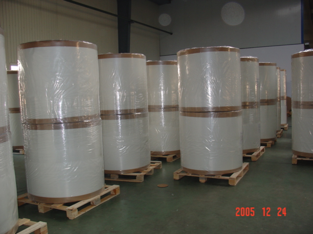 Fiberglass Roofing tissue